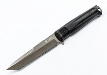 Aggressor D2 TW