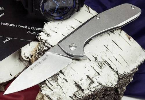 5891 Realsteel E571