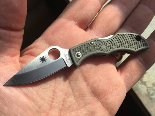 147 Spyderco Ladybug 3 - LGREP3 фото 6